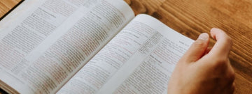 Slow vs Speed Reading. We Know Which is Better!